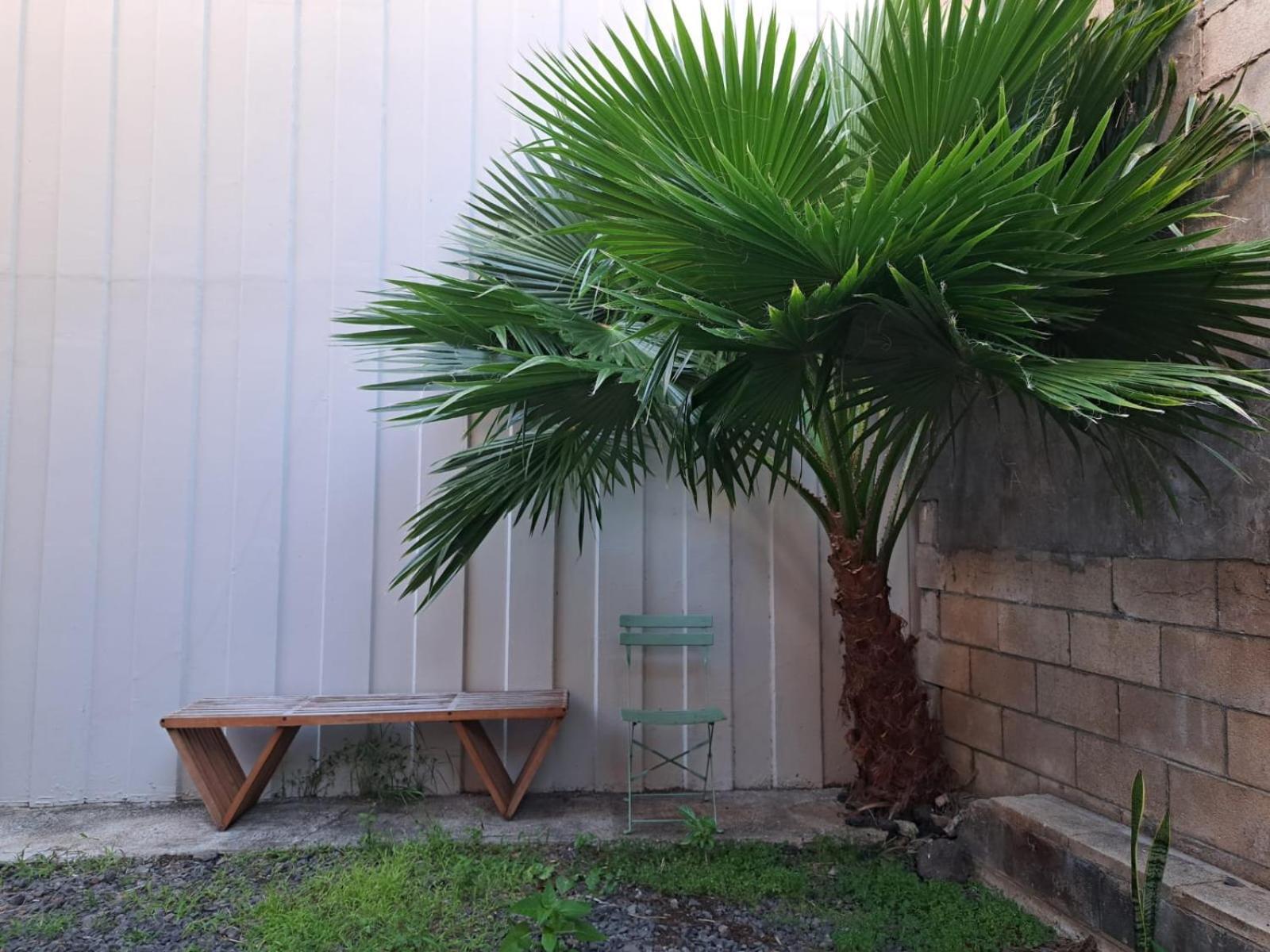 Honu Waikiki By Aloh Hostel Хонолулу Екстериор снимка
